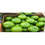 以色列青柚12.5kg（24—28个）