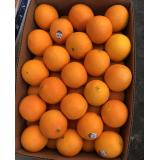 黑标橙 4kg