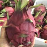火龙果礼盒（基地自产）7斤