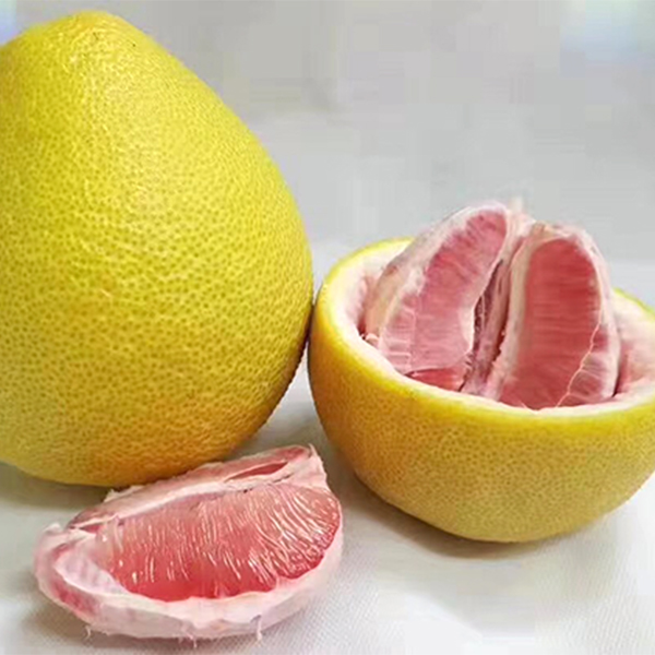 红文旦 6kg