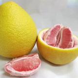 红文旦 6kg