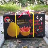 红文旦 6kg