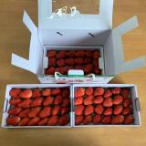 三层草莓礼盒 3斤