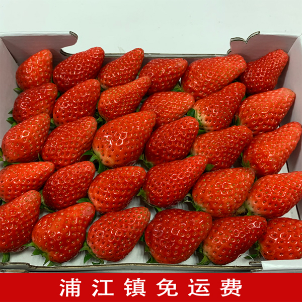 居家 草莓750g