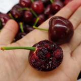 国产樱桃 1kg