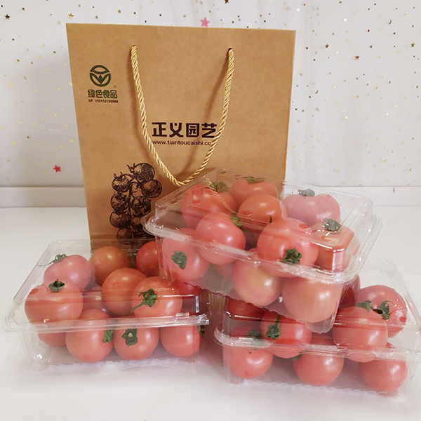 龙珠小番茄  4斤