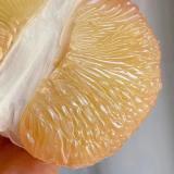 ICK 金柚 10-12只/箱