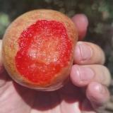 国产恐龙蛋 1.5kg
