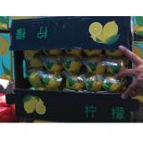 柠檬 25包/箱