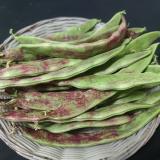 紫芸豆 1斤
