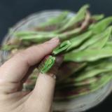 紫芸豆 1斤