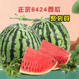 8424西瓜 2个/箱（约6kg）