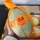 晓蜜瓜 6.5kg