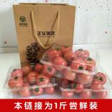 龙珠小番茄 500g