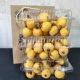 基地白沙枇杷 2kg
