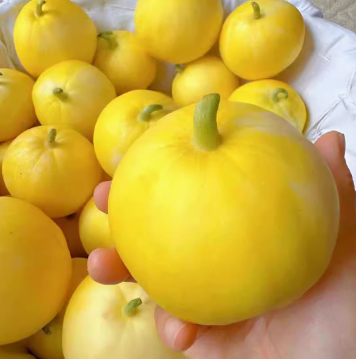 蜂糖蜜小香瓜 2kg/盒
