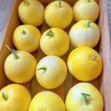 蜂糖蜜小香瓜 2kg/盒