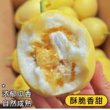 蜂糖蜜小香瓜 2kg/盒