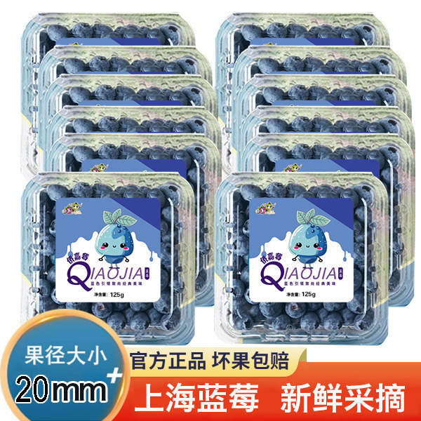 基地蓝莓（20+） 125gx12小盒