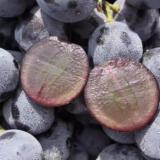 蓝莓葡萄 2.2kg