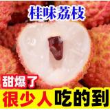 桂味荔枝 1.5kg