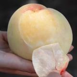 桃喜水蜜桃 2.5kg