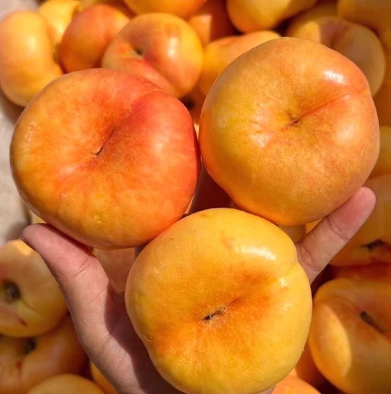 彩虹蟠桃 1.5kg