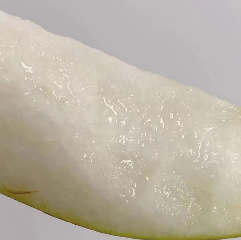 梨博士 2.5kg
