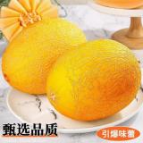 金蛋蜜瓜 4kg