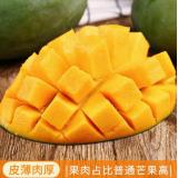 凯特芒果 4kg