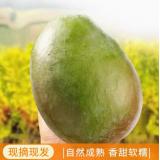 凯特芒果 4kg