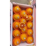 血橙礼盒 4kg