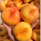 彩虹蟠桃 1.5kg