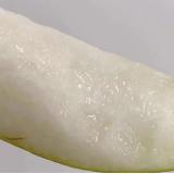 梨博士 2.5kg