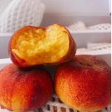 大漠蟠桃 1.5kg