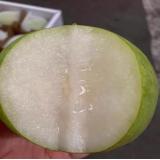 庄行蜜梨 5kg