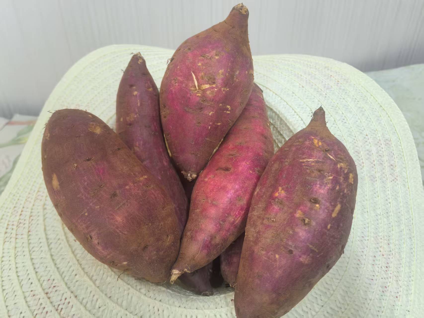 山芋 2.5kg