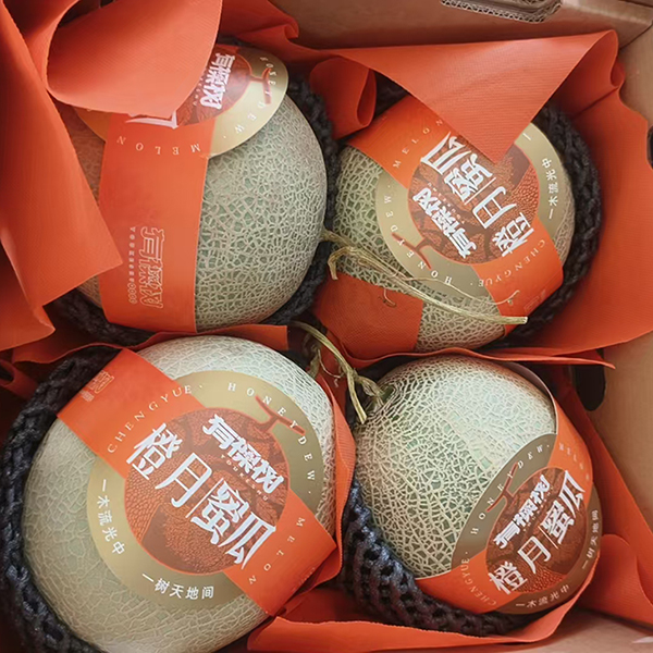 橙月蜜瓜 7kg