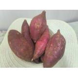 山芋 2.5kg