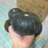 贝贝南瓜 4-5个 2.5kg