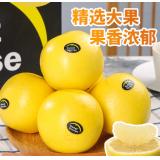 白橙柚 2.5kg