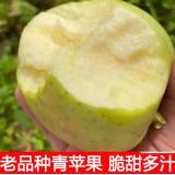 青森苹果 3.5kg