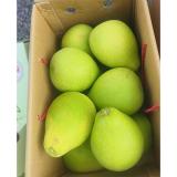 麻豆文旦 4kg