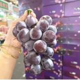 富士峰葡萄 2.7kg