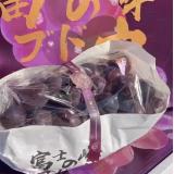富士峰葡萄 2.7kg