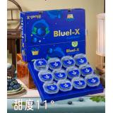 罐装蓝莓 12×125g