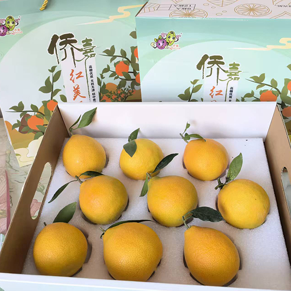 红美人礼盒 基地资产 9个装