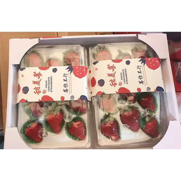 双色草莓 500g/盒