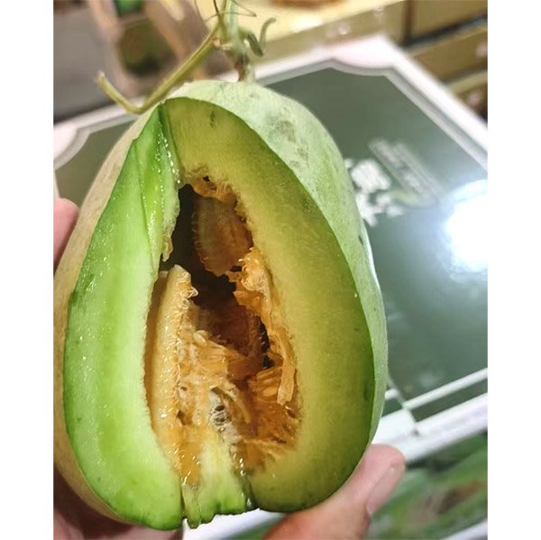 冰绯村甜瓜 2.5kg