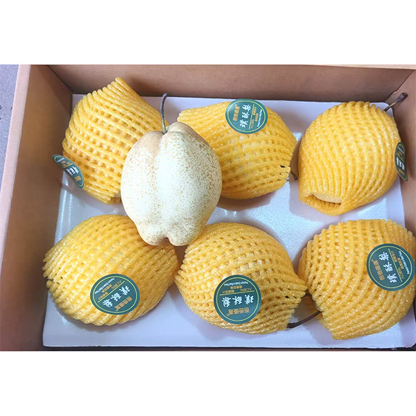璞酥梨 3.5kg
